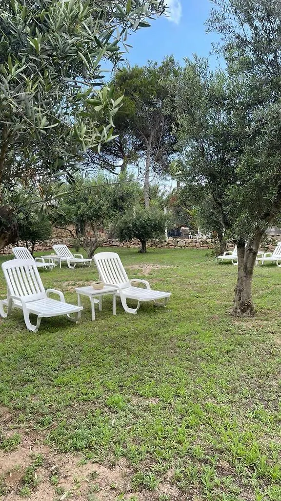 Calafato Guest House فافينانا